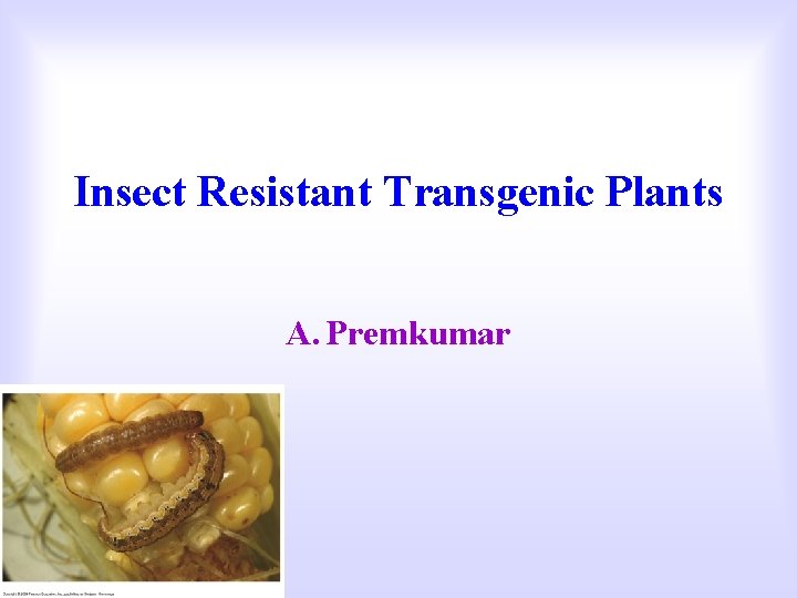 Insect Resistant Transgenic Plants A. Premkumar 
