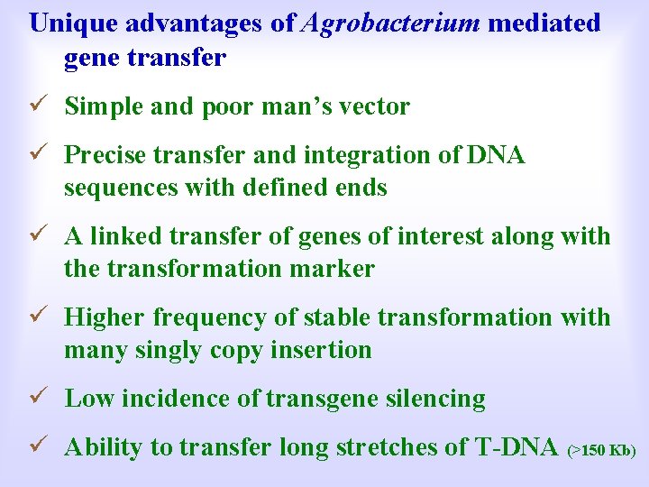 Unique advantages of Agrobacterium mediated gene transfer ü Simple and poor man’s vector ü