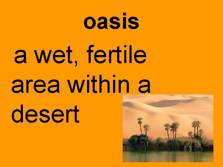 oasis a wet, fertile area within a desert 