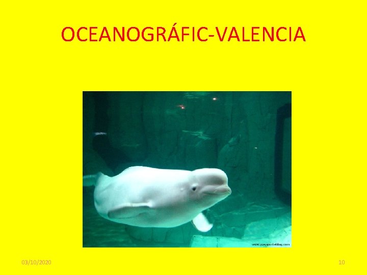 OCEANOGRÁFIC-VALENCIA 03/10/2020 10 