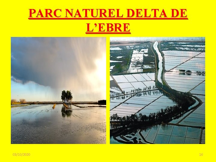 PARC NATUREL DELTA DE L’EBRE 03/10/2020 16 