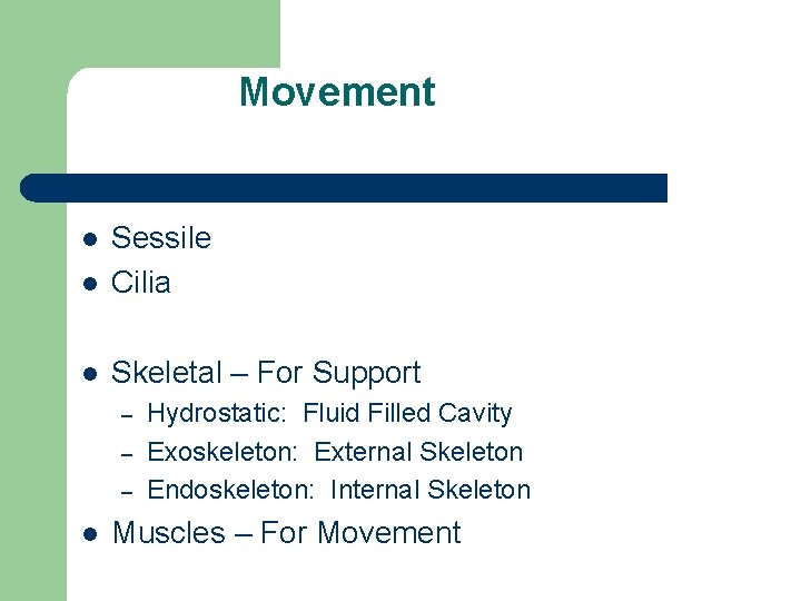 Movement l Sessile Cilia l Skeletal – For Support l – – – l