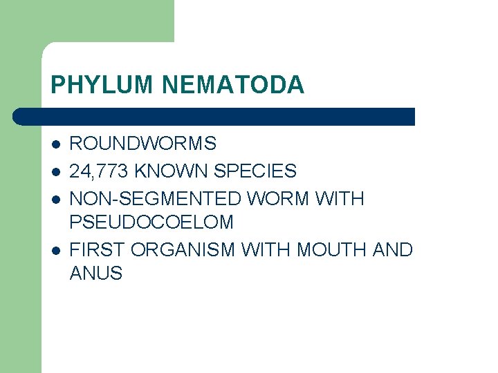 PHYLUM NEMATODA l l ROUNDWORMS 24, 773 KNOWN SPECIES NON-SEGMENTED WORM WITH PSEUDOCOELOM FIRST