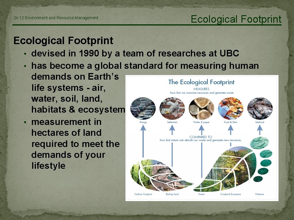 Gr. 12 Environment and Resource Management Ecological Footprint • devised in 1990 by a