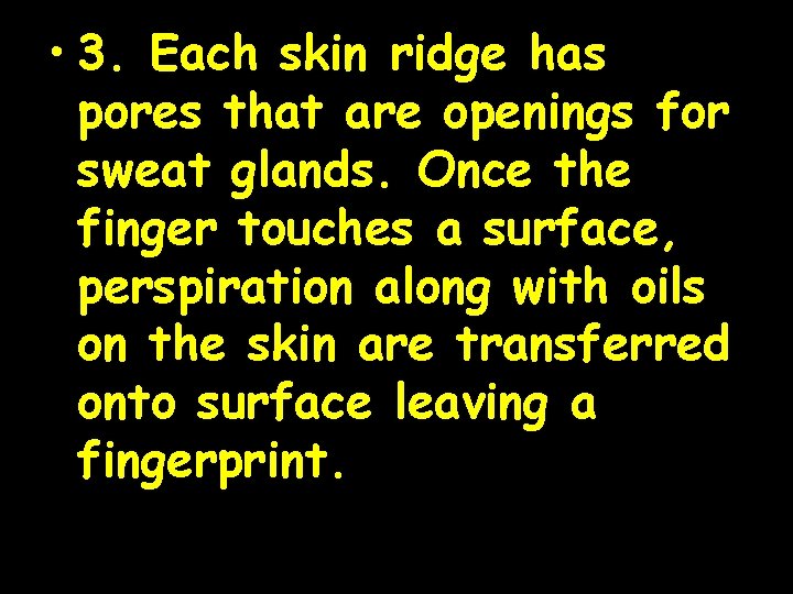  • 3. Each skin ridge has pores that are openings for sweat glands.