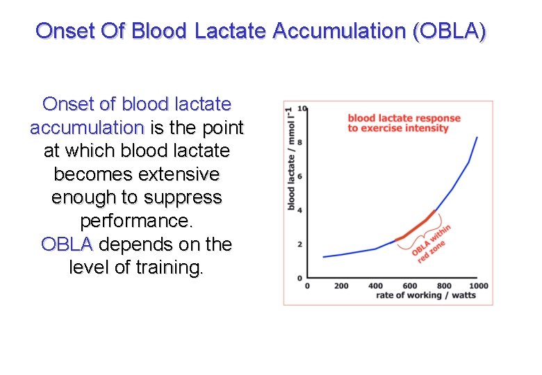 Onset Of Blood Lactate Accumulation (OBLA) Onset of blood lactate accumulation is the point