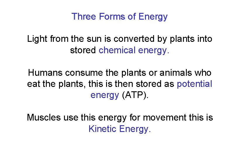 Three Forms of Energy Light from the sun is converted by plants into stored