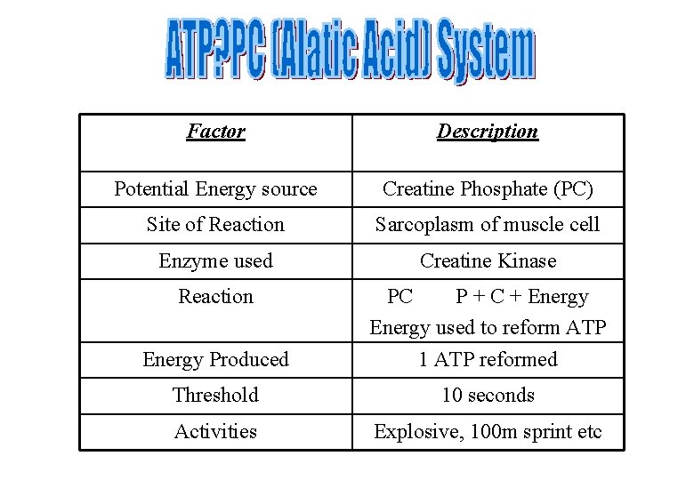 Factor Description Potential Energy source Creatine Phosphate (PC) Site of Reaction Sarcoplasm of muscle