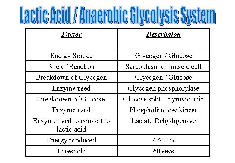 Factor Description Energy Source Glycogen / Glucose Site of Reaction Breakdown of Glycogen Enzyme