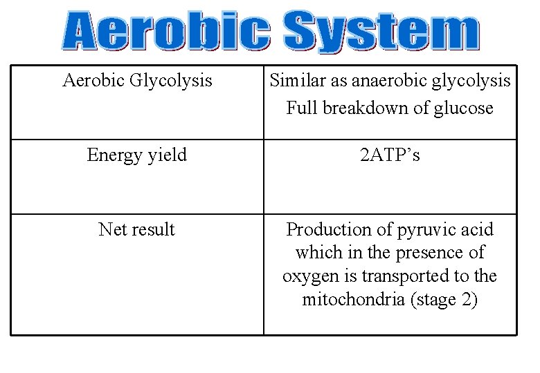Aerobic Glycolysis Similar as anaerobic glycolysis Full breakdown of glucose Energy yield 2 ATP’s