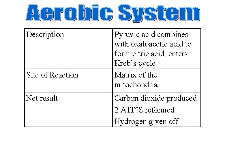 Description Site of Reaction Net result Pyruvic acid combines with oxaloacetic acid to form