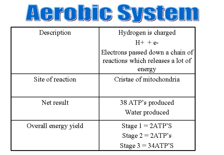 Description Site of reaction Hydrogen is charged H+ + e. Electrons passed down a