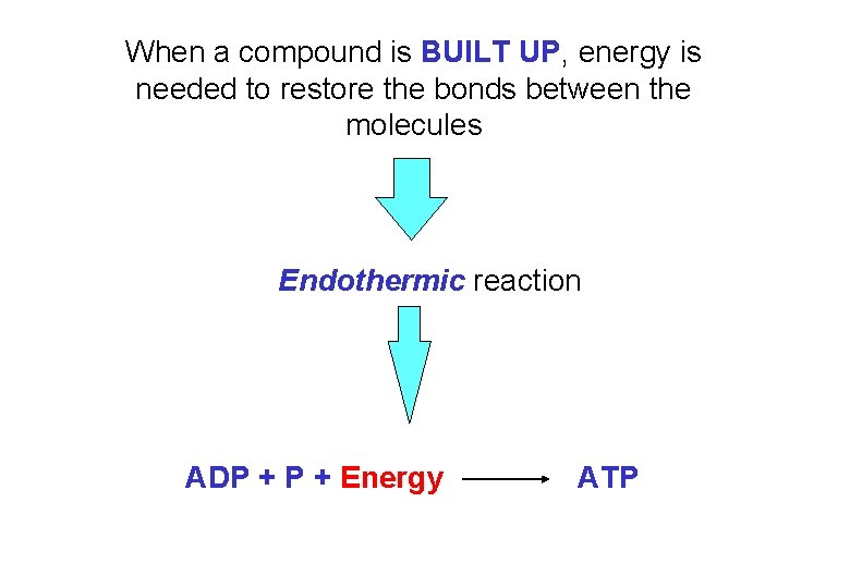 When a compound is BUILT UP, energy is needed to restore the bonds between