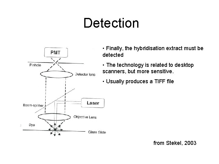 Detection • Finally, the hybridisation extract must be detected • The technology is related