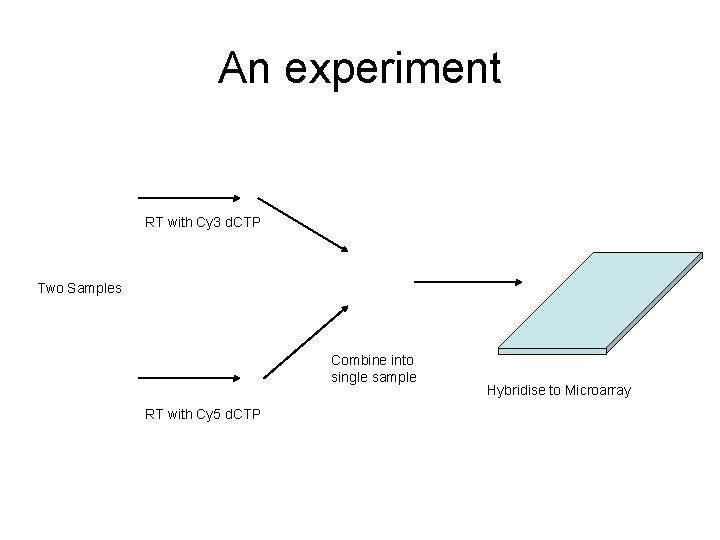 An experiment RT with Cy 3 d. CTP Two Samples Combine into single sample