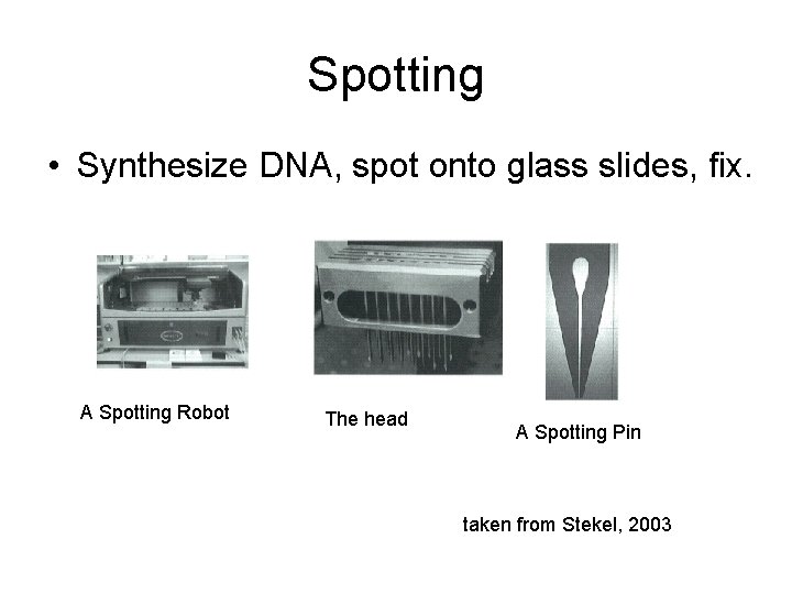 Spotting • Synthesize DNA, spot onto glass slides, fix. A Spotting Robot The head