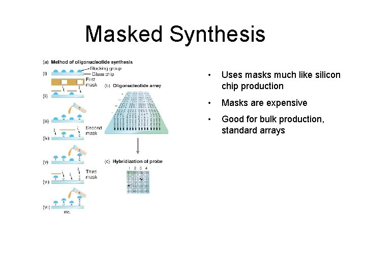 Masked Synthesis • Uses masks much like silicon chip production • Masks are expensive