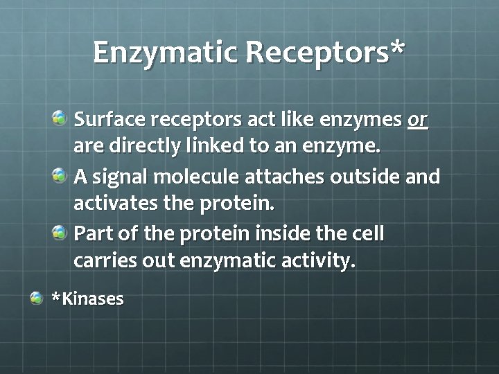 Enzymatic Receptors* Surface receptors act like enzymes or are directly linked to an enzyme.