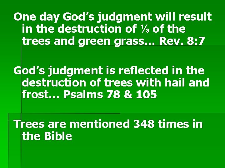 One day God’s judgment will result in the destruction of ⅓ of the trees
