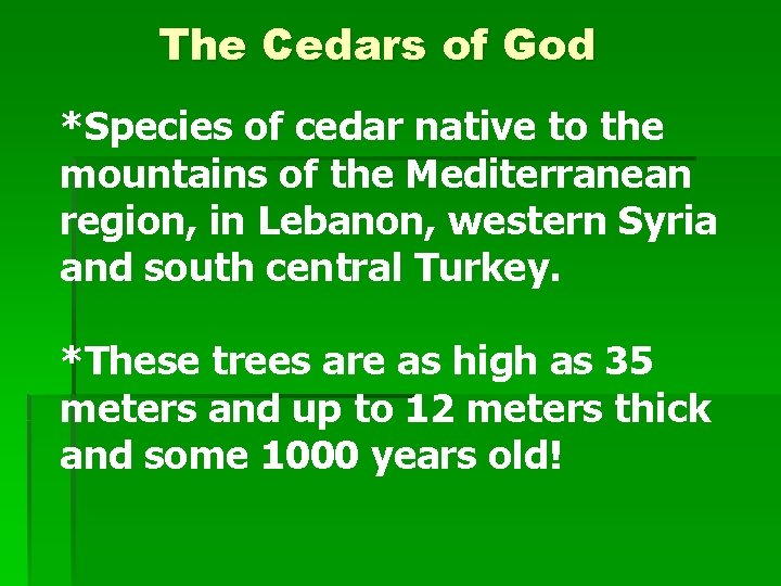 The Cedars of God *Species of cedar native to the mountains of the Mediterranean