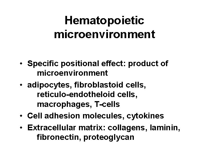 Hematopoietic microenvironment • Specific positional effect: product of microenvironment • adipocytes, fibroblastoid cells, reticulo-endotheloid