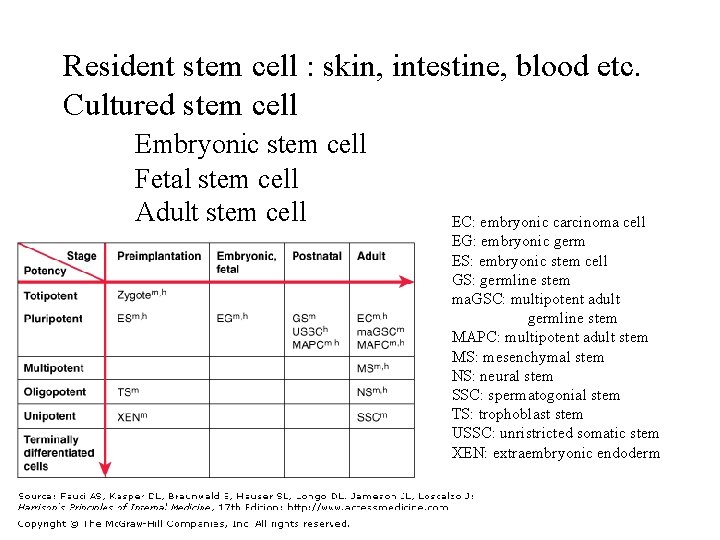 Resident stem cell : skin, intestine, blood etc. Cultured stem cell Embryonic stem cell