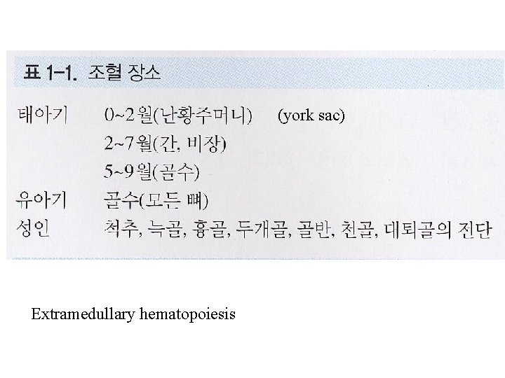 (york sac) Extramedullary hematopoiesis 