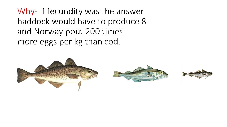 Why- If fecundity was the answer haddock would have to produce 8 and Norway