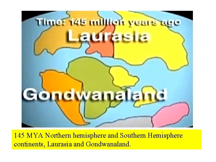 145 MYA Northern hemisphere and Southern Hemisphere continents, Laurasia and Gondwanaland. 