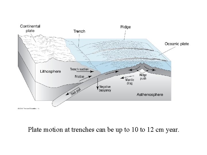 Plate motion at trenches can be up to 10 to 12 cm year. 