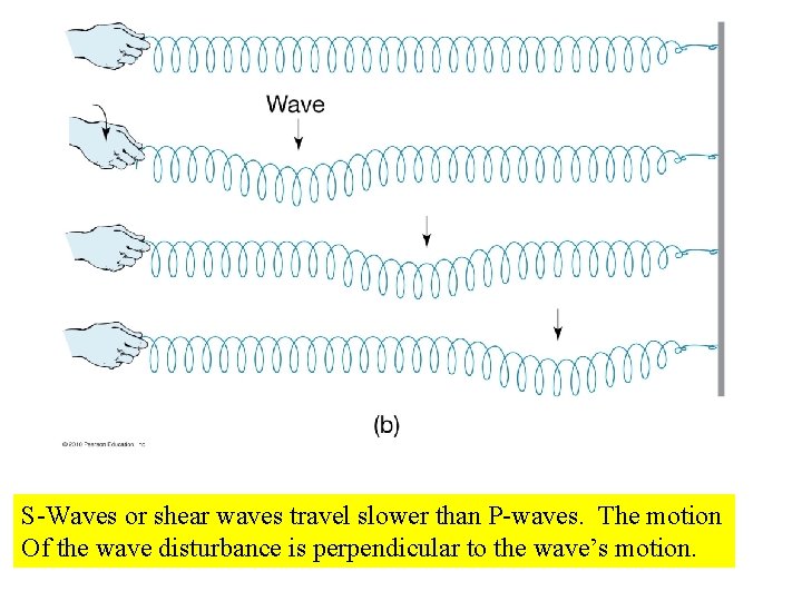 S-Waves or shear waves travel slower than P-waves. The motion Of the wave disturbance