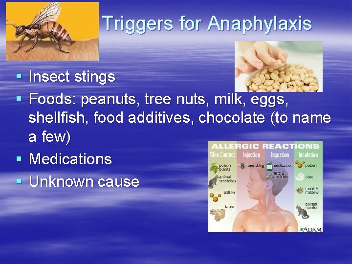 Common Triggers for Anaphylaxis § Insect stings § Foods: peanuts, tree nuts, milk, eggs, Common Triggers for Anaphylaxis § Insect stings § Foods: peanuts, tree nuts, milk, eggs,