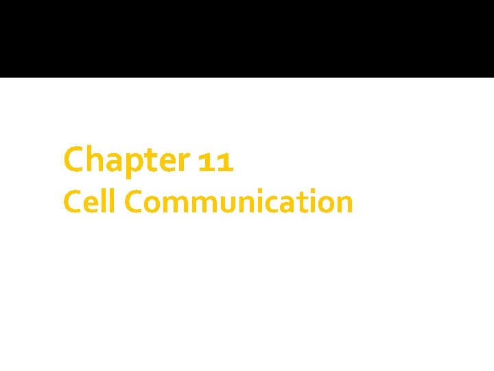 Chapter 11 Cell Communication 
