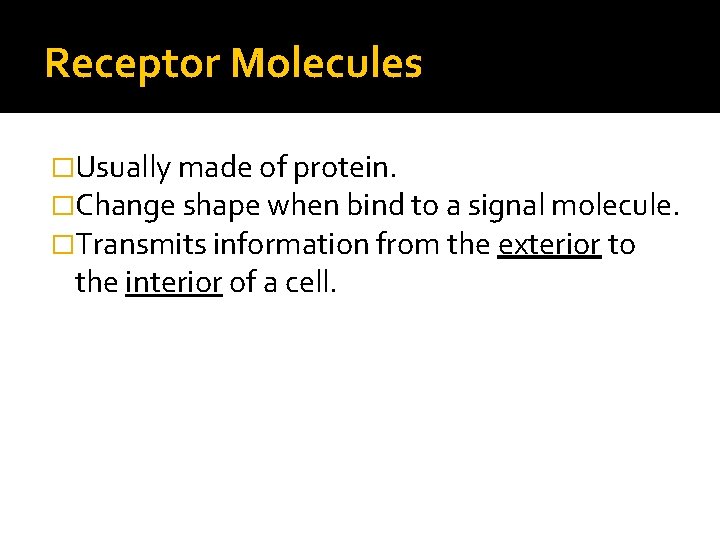 Receptor Molecules �Usually made of protein. �Change shape when bind to a signal molecule.