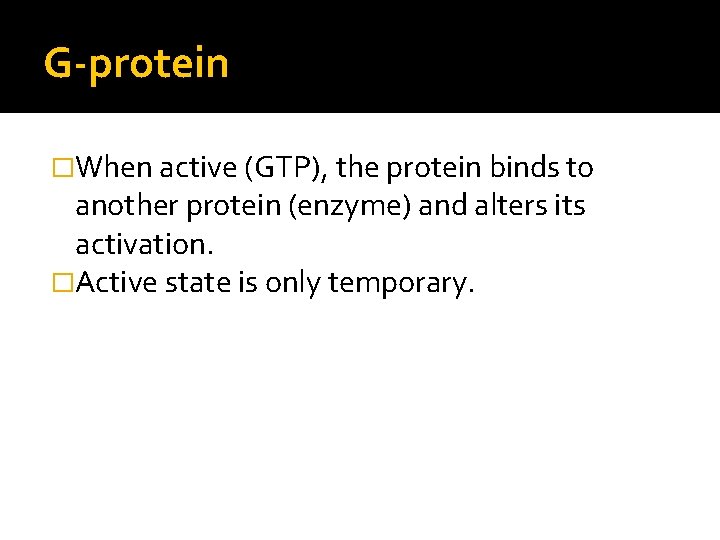 G-protein �When active (GTP), the protein binds to another protein (enzyme) and alters its