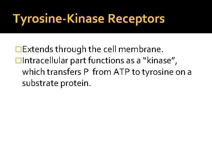 Tyrosine-Kinase Receptors �Extends through the cell membrane. �Intracellular part functions as a “kinase”, which