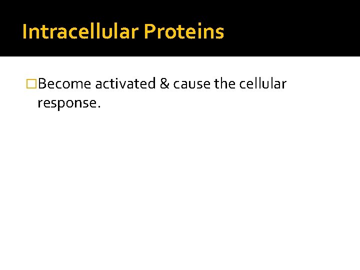 Intracellular Proteins �Become activated & cause the cellular response. 
