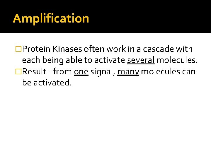 Amplification �Protein Kinases often work in a cascade with each being able to activate