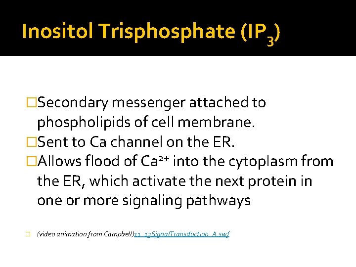Inositol Trisphosphate (IP 3) �Secondary messenger attached to phospholipids of cell membrane. �Sent to