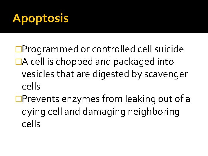 Apoptosis �Programmed or controlled cell suicide �A cell is chopped and packaged into vesicles
