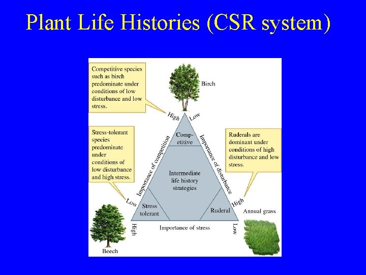 Plant Life Histories (CSR system) 