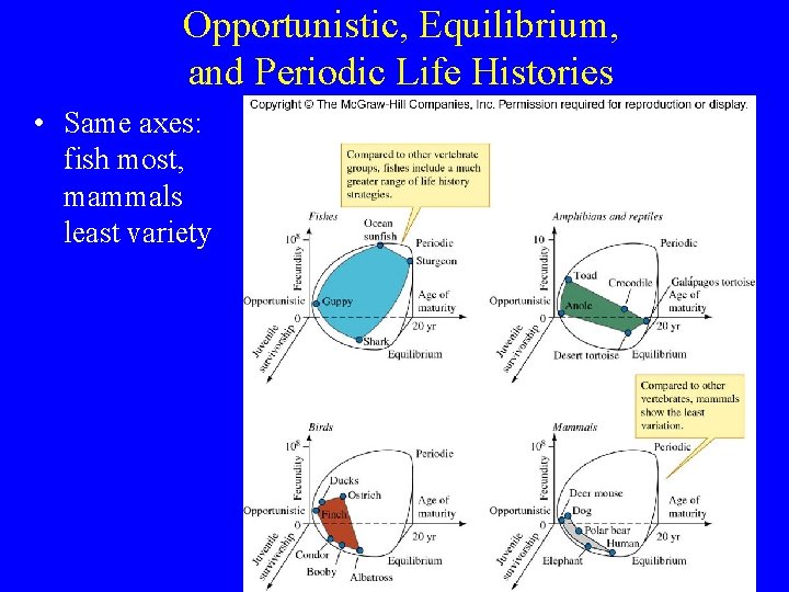 Opportunistic, Equilibrium, and Periodic Life Histories • Same axes: fish most, mammals least variety