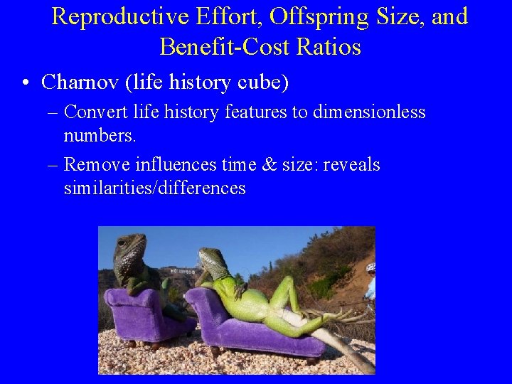 Reproductive Effort, Offspring Size, and Benefit-Cost Ratios • Charnov (life history cube) – Convert