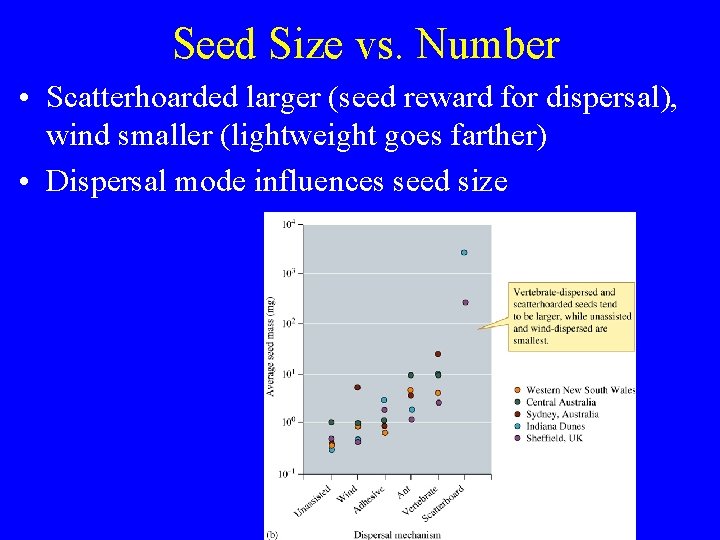 Seed Size vs. Number • Scatterhoarded larger (seed reward for dispersal), wind smaller (lightweight