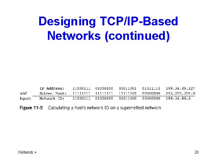 Designing TCP/IP-Based Networks (continued) Network + 20 