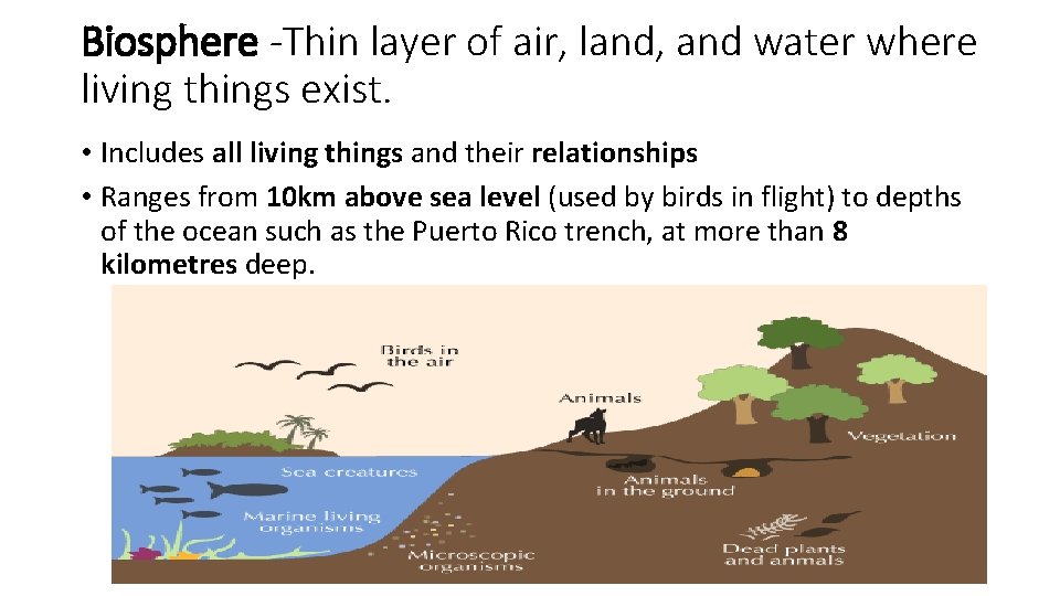 Biosphere -Thin layer of air, land, and water where living things exist. • Includes