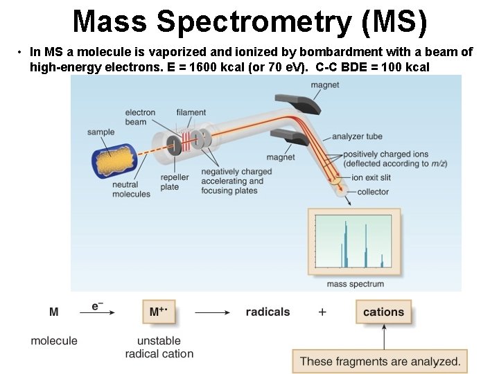 Mass Spectrometry (MS) • In MS a molecule is vaporized and ionized by bombardment