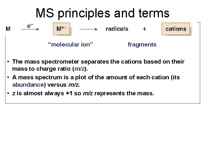 MS principles and terms “molecular ion” fragments • The mass spectrometer separates the cations