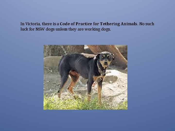 In Victoria, there is a Code of Practice for Tethering Animals. No such luck