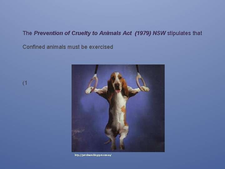 The Prevention of Cruelty to Animals Act (1979) NSW stipulates that Confined animals must